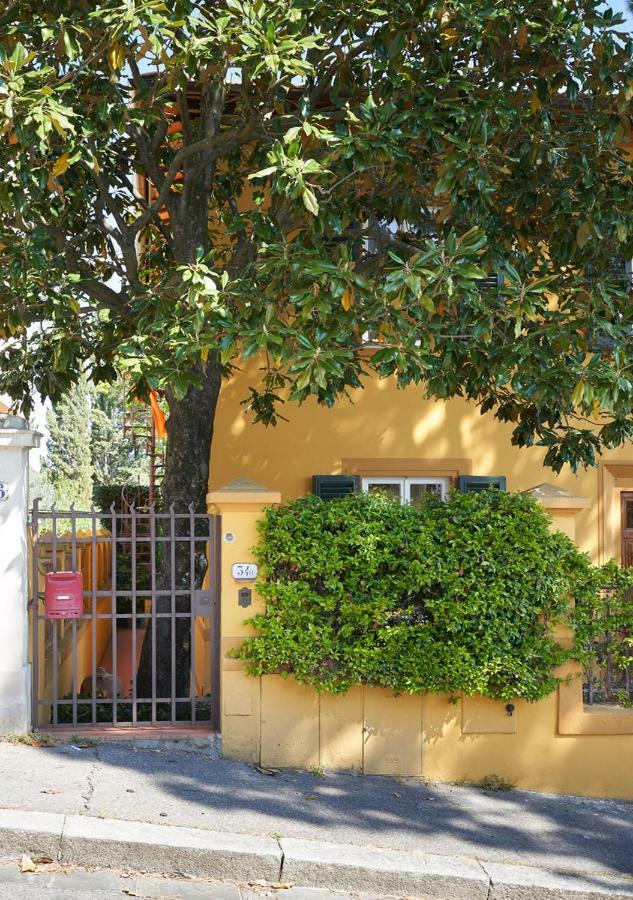 Green Nest Apartments Florenz Exterior foto